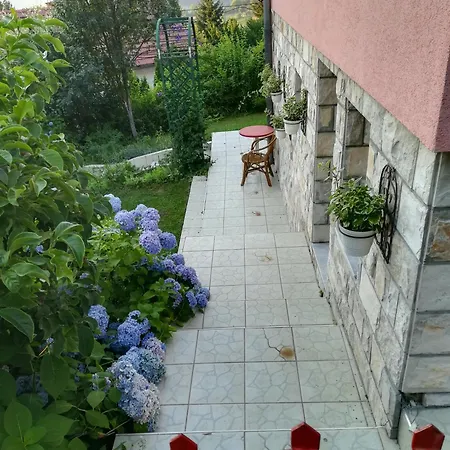 Aida Sarajevo Villa Hadzici