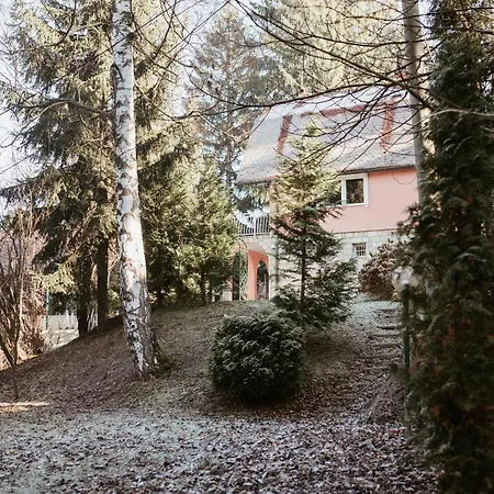 Aida Sarajevo Villa Hadzici