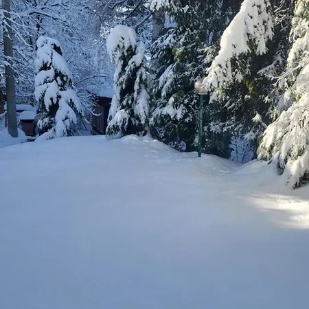 Aida Sarajevo * Hadzici